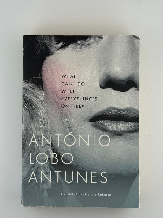 What Can I Do When Everythings on Fire? by Antonio Lobo Antunes