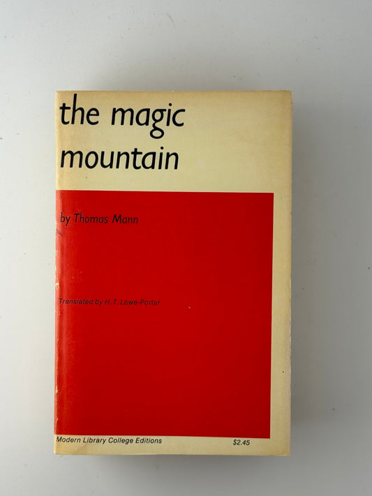 The Magic Mountain by Thomas Mann