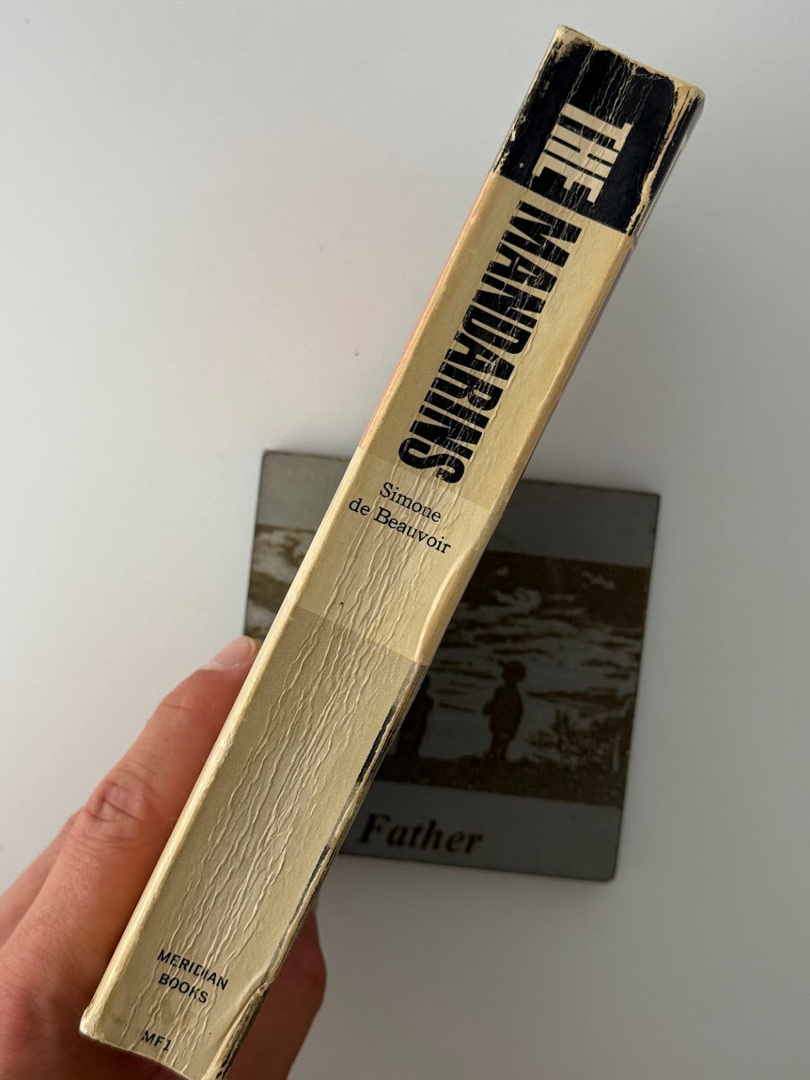 The Mandarins by Simone de Beauvoir