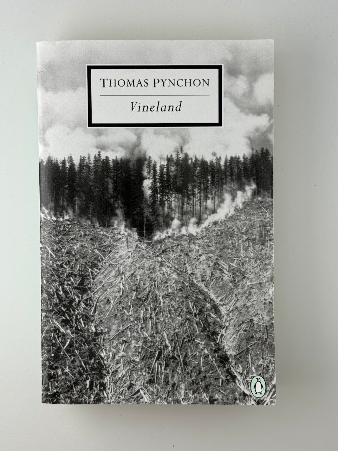 Vineland by Thomas Pynchon