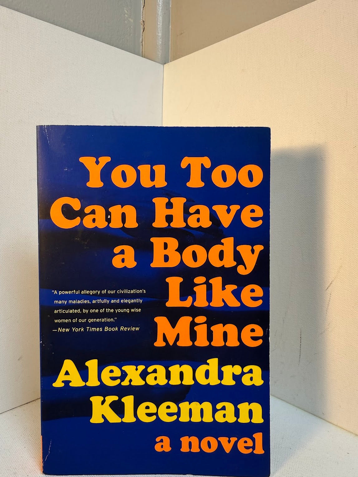 You Too Can Have a Body Like Mine by Alexandra Kleeman