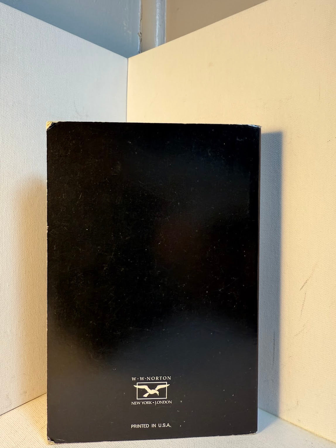 Girl With Curious Hair by David Foster Wallace