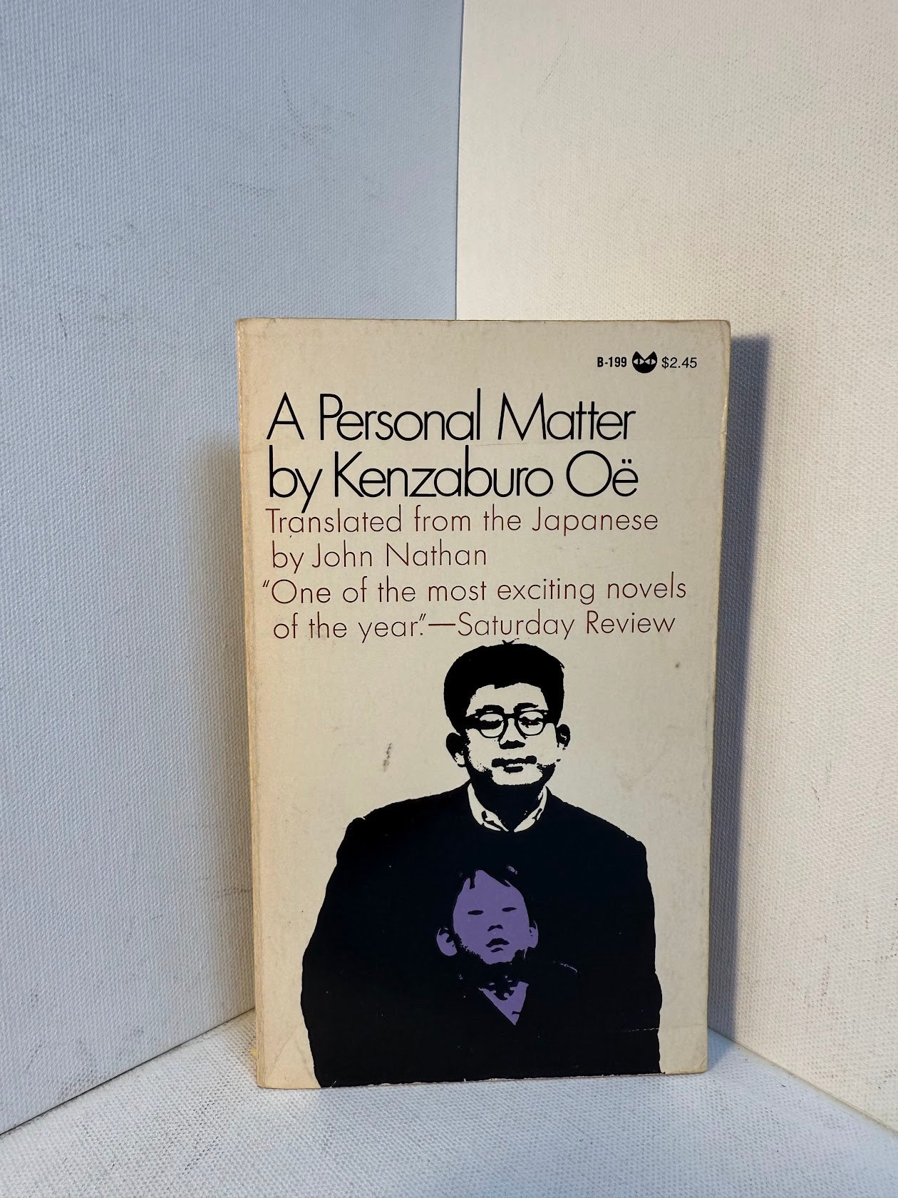 A Personal Matter by Kenzaburo Oe