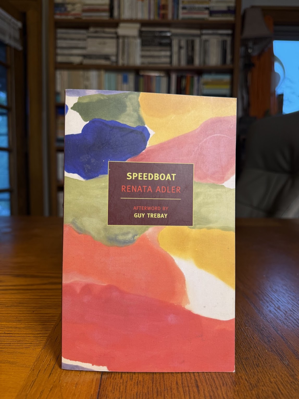 Speedboat by Renata Adler