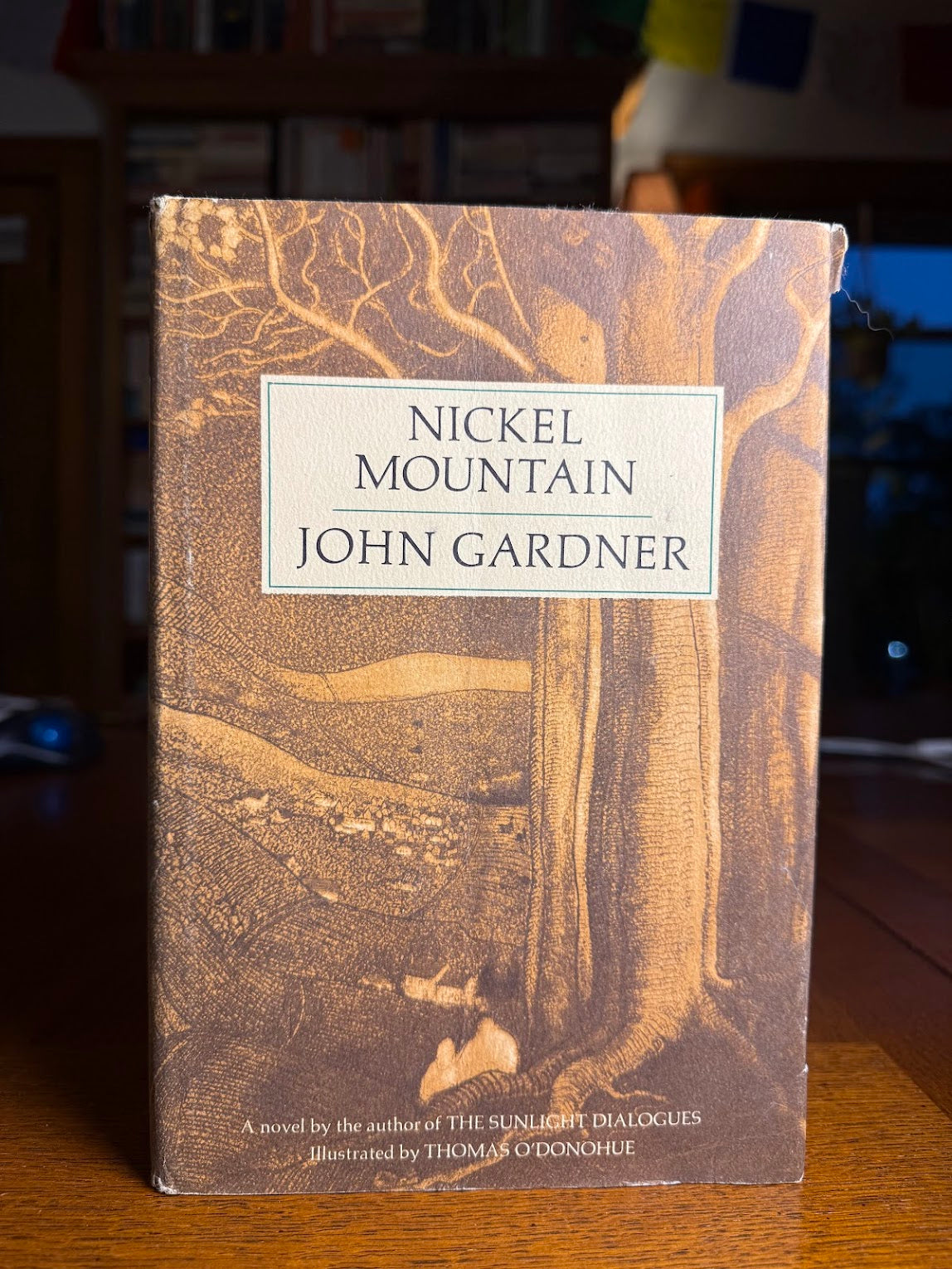 Nickel Mountain by John Gardner