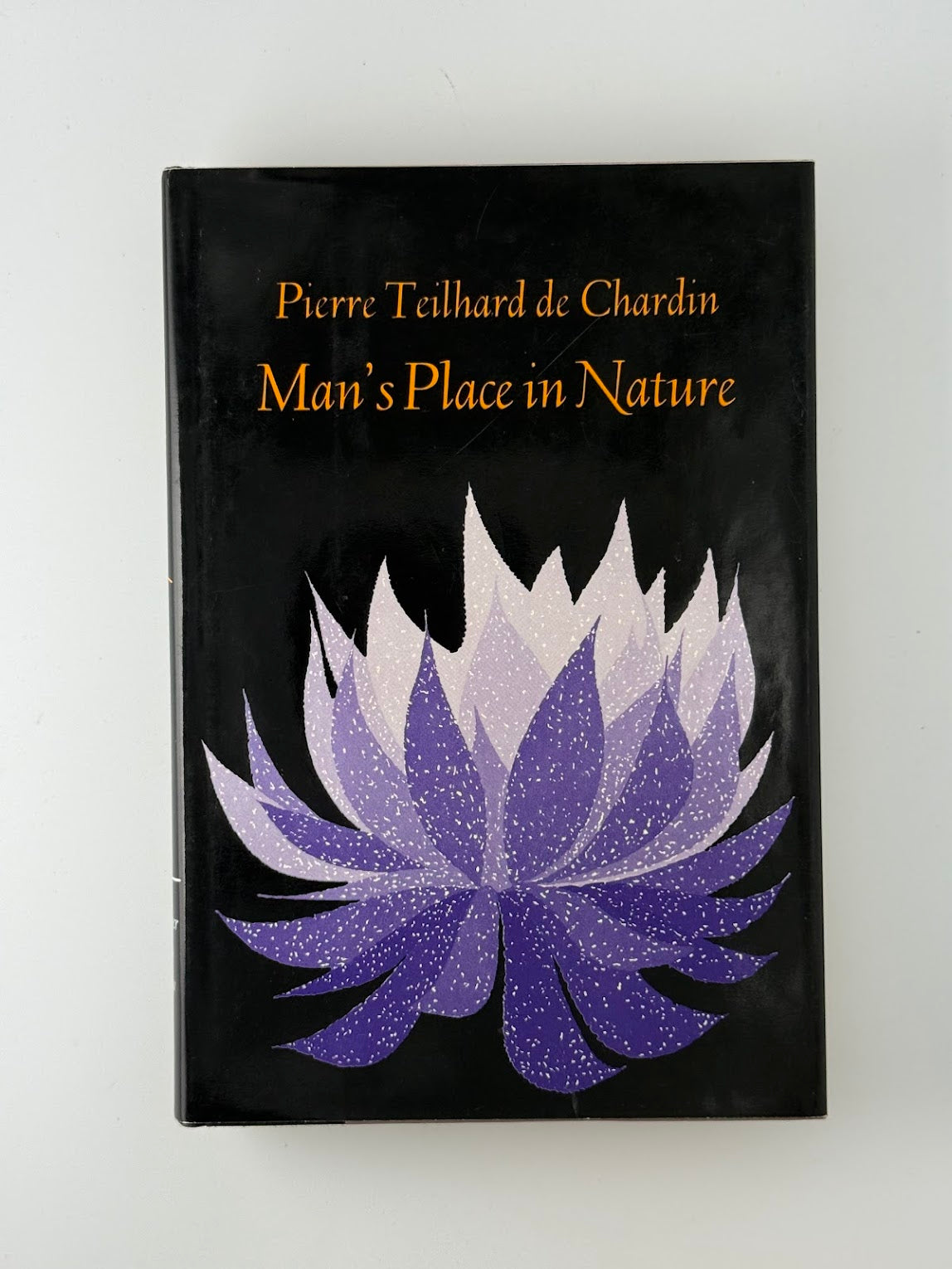 Man's Place in Nature by Pierre Teilhard De Chardin