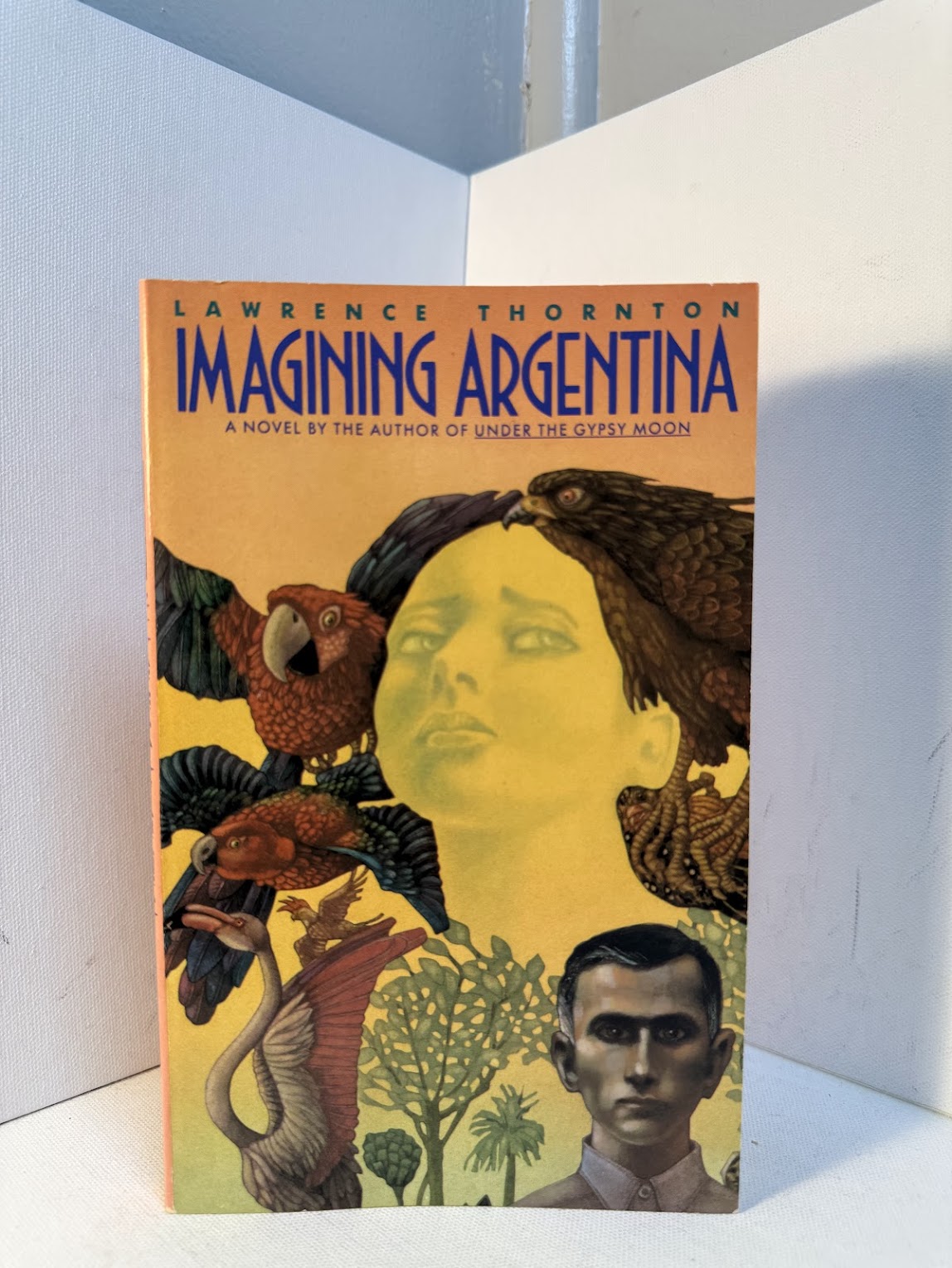 Imagining Argentina by Lawrence Thornton
