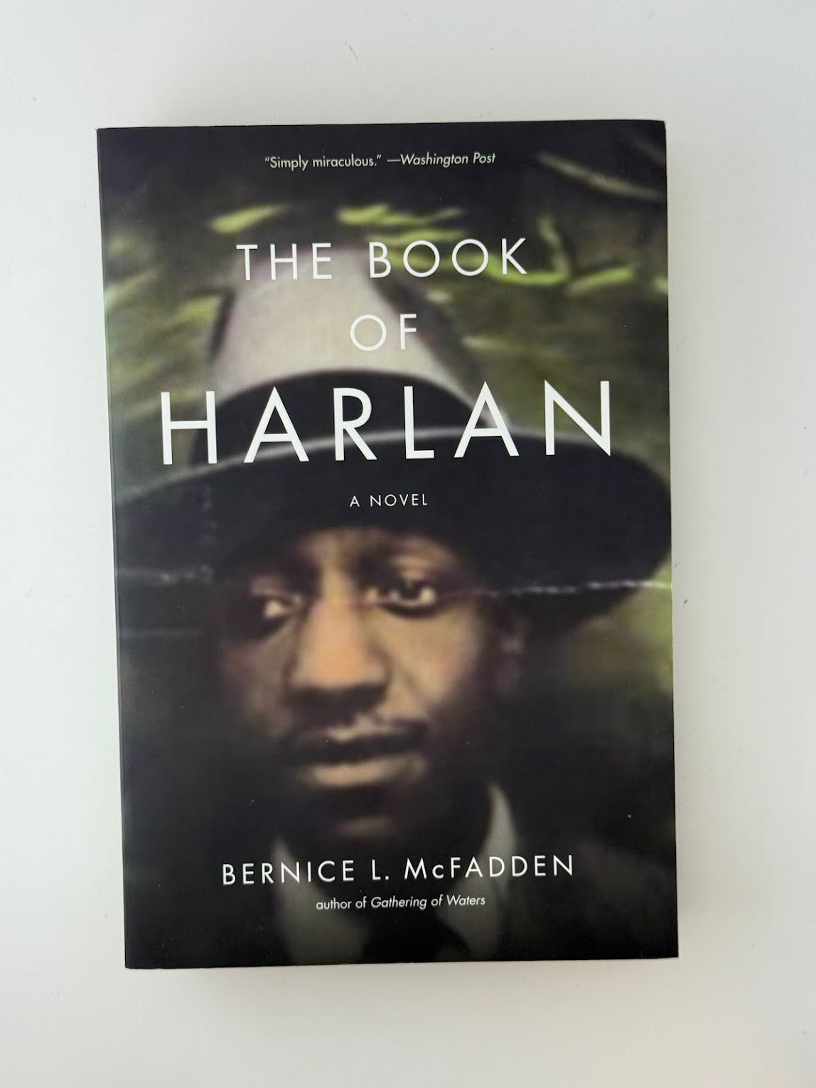 The Book of Harlan by Bernie L. McFadden