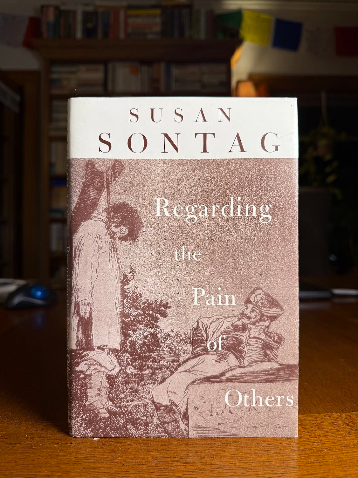 Regarding the Pain of Others by Susan Sontag