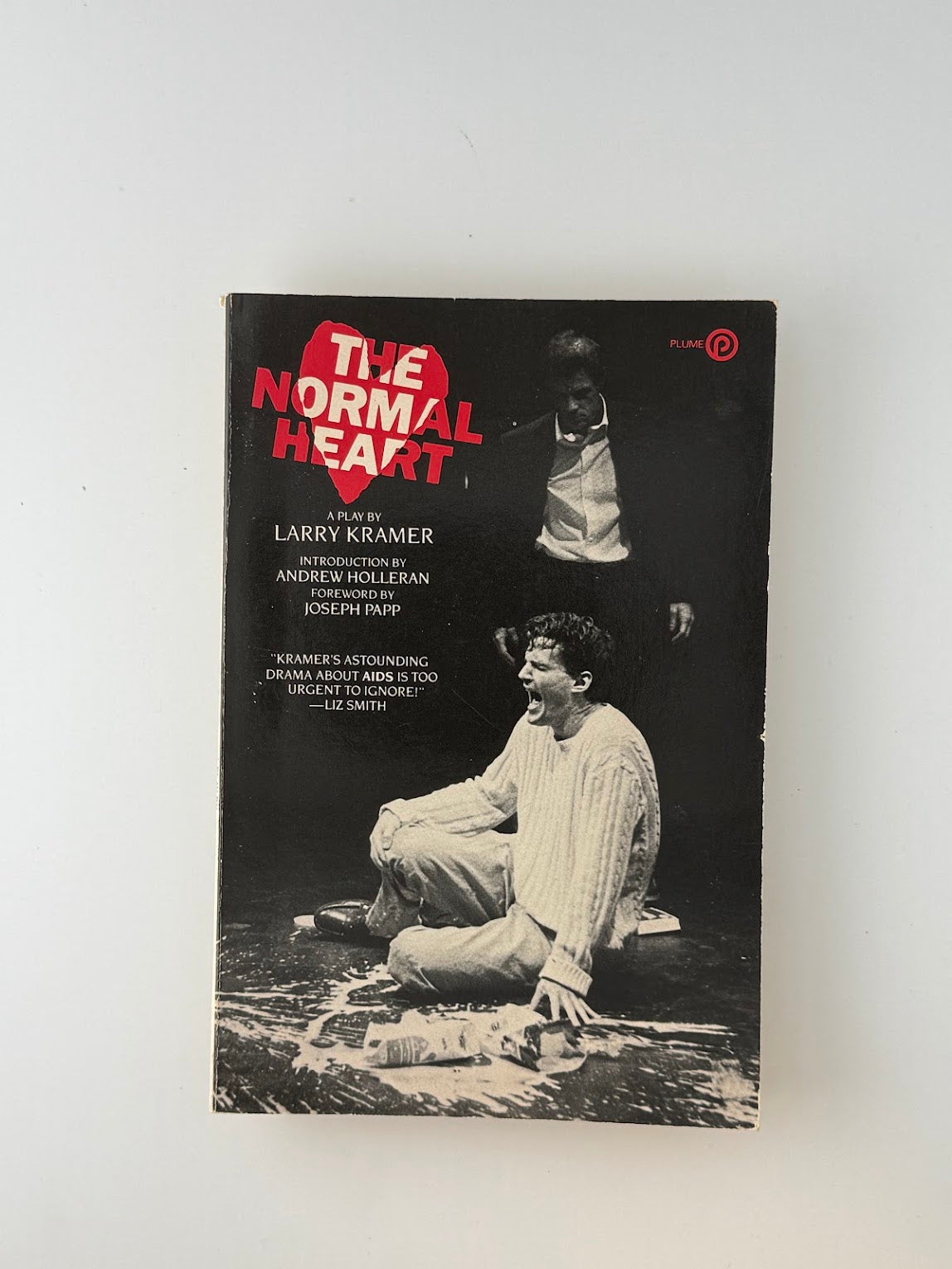 The Normal Heart by Larry Kramer