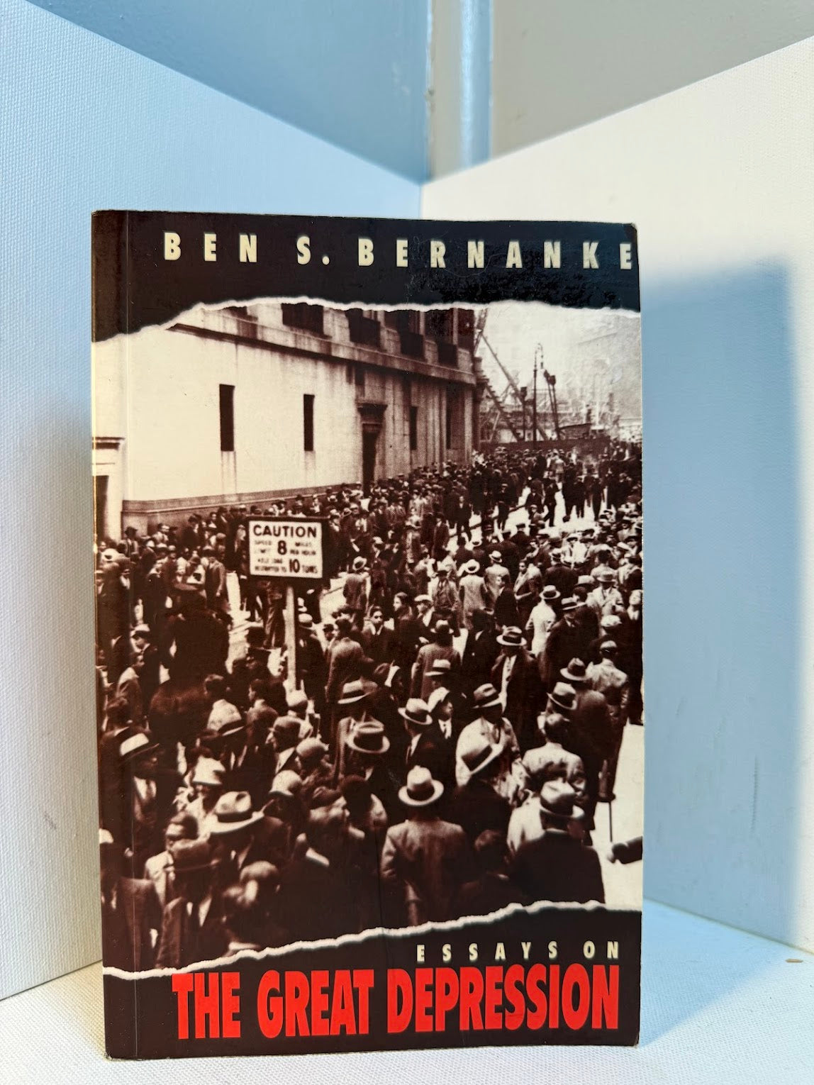 Essays on The Great Depression by Ben S. Bernanke
