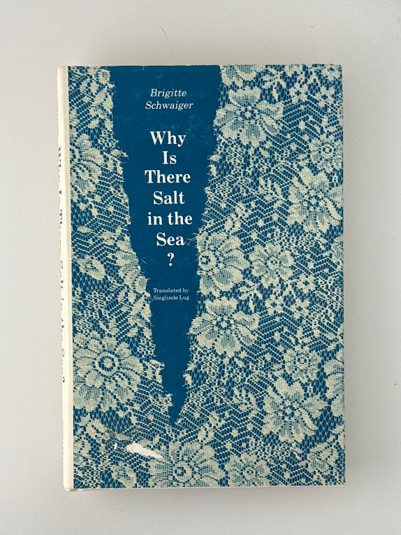 Why Is There Salt in the Sea? by Brigitte Schwaiger
