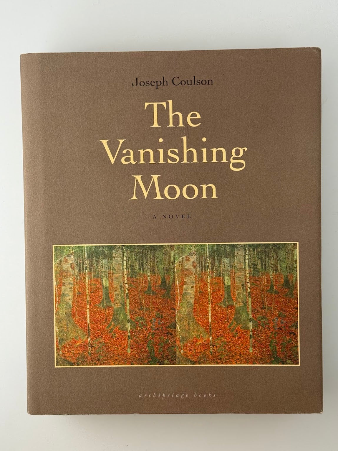 The Vanishing Moon by Joseph Coulson