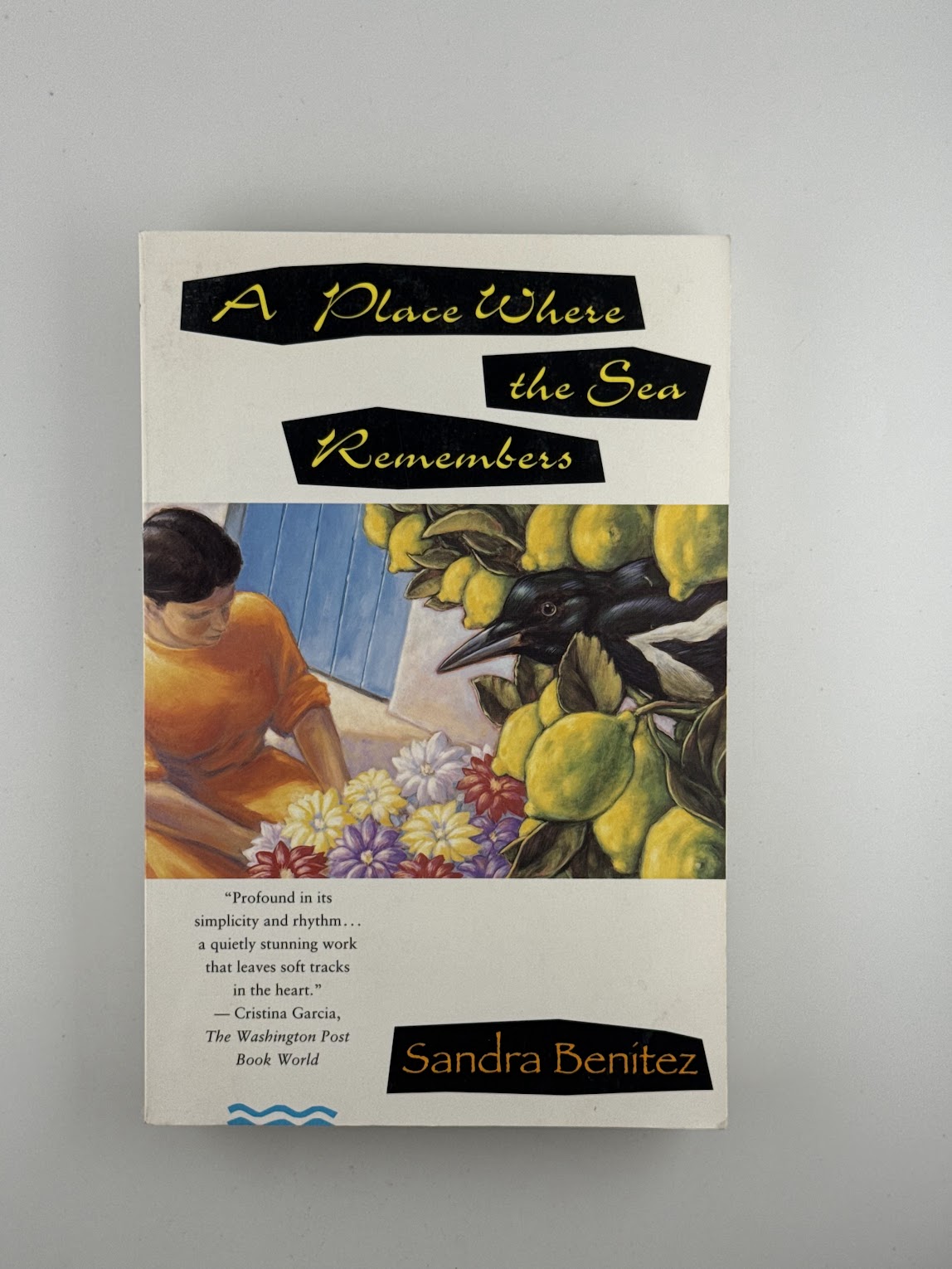 A Place Where the Sea Remembers by Sandra Benitez