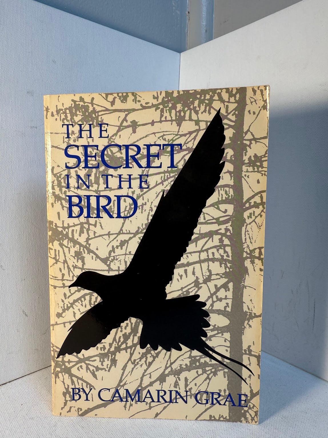The Secret in the Bird by Camarin Grae