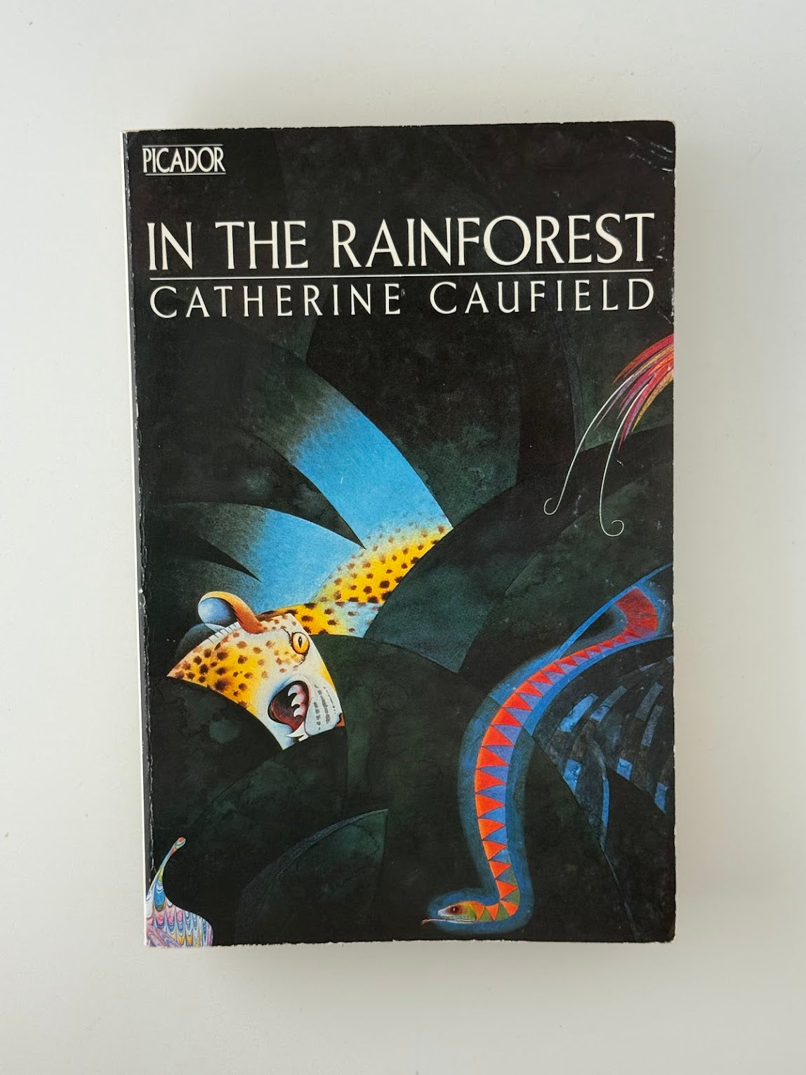 In the Rainforest by Catherine Caufield