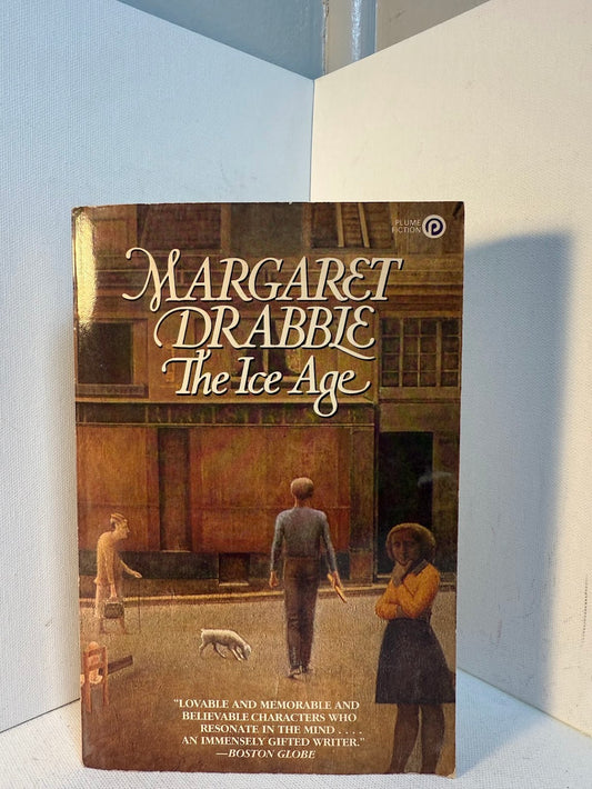The Ice Age by Margaret Drabble
