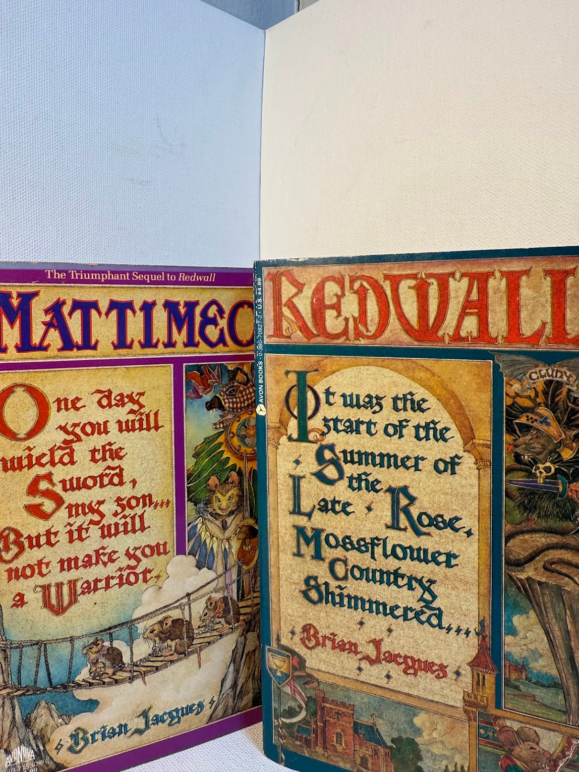 Redwall and Mattimeo by Brian Jacques