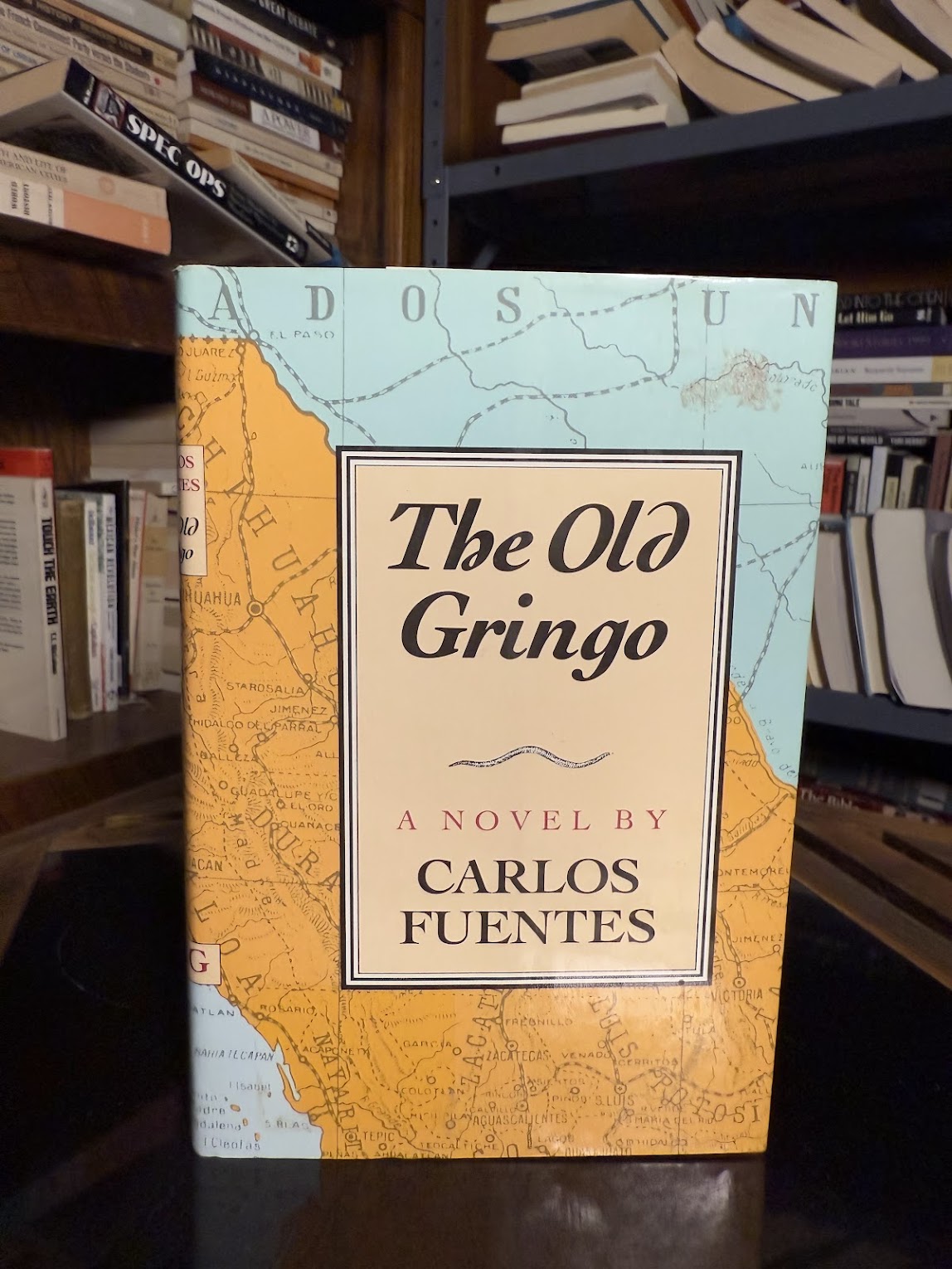 The Old Gringo by Carlos Fuentes