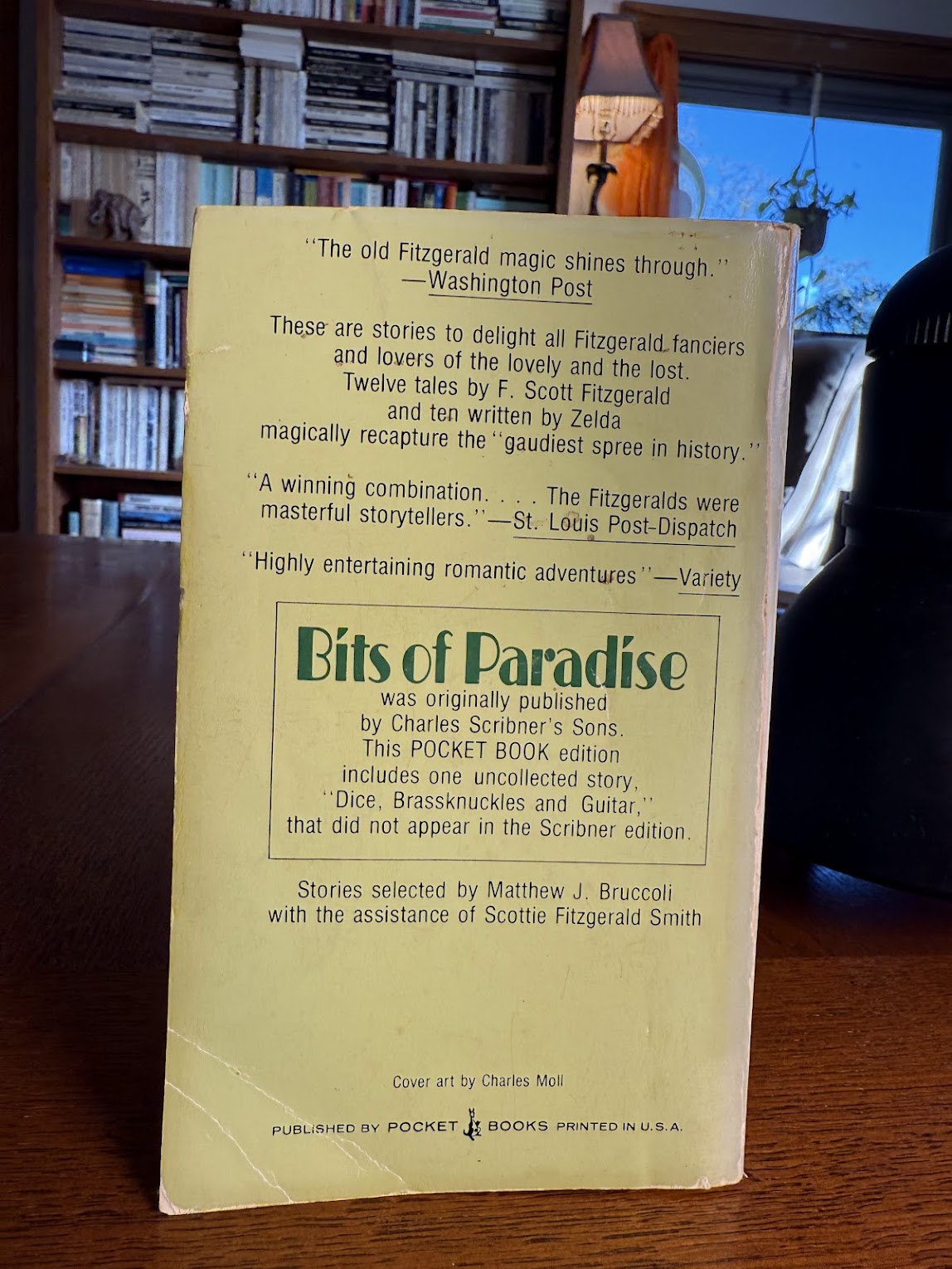 Bits of Paradise by F. Scott & Zelda Fitzgerald