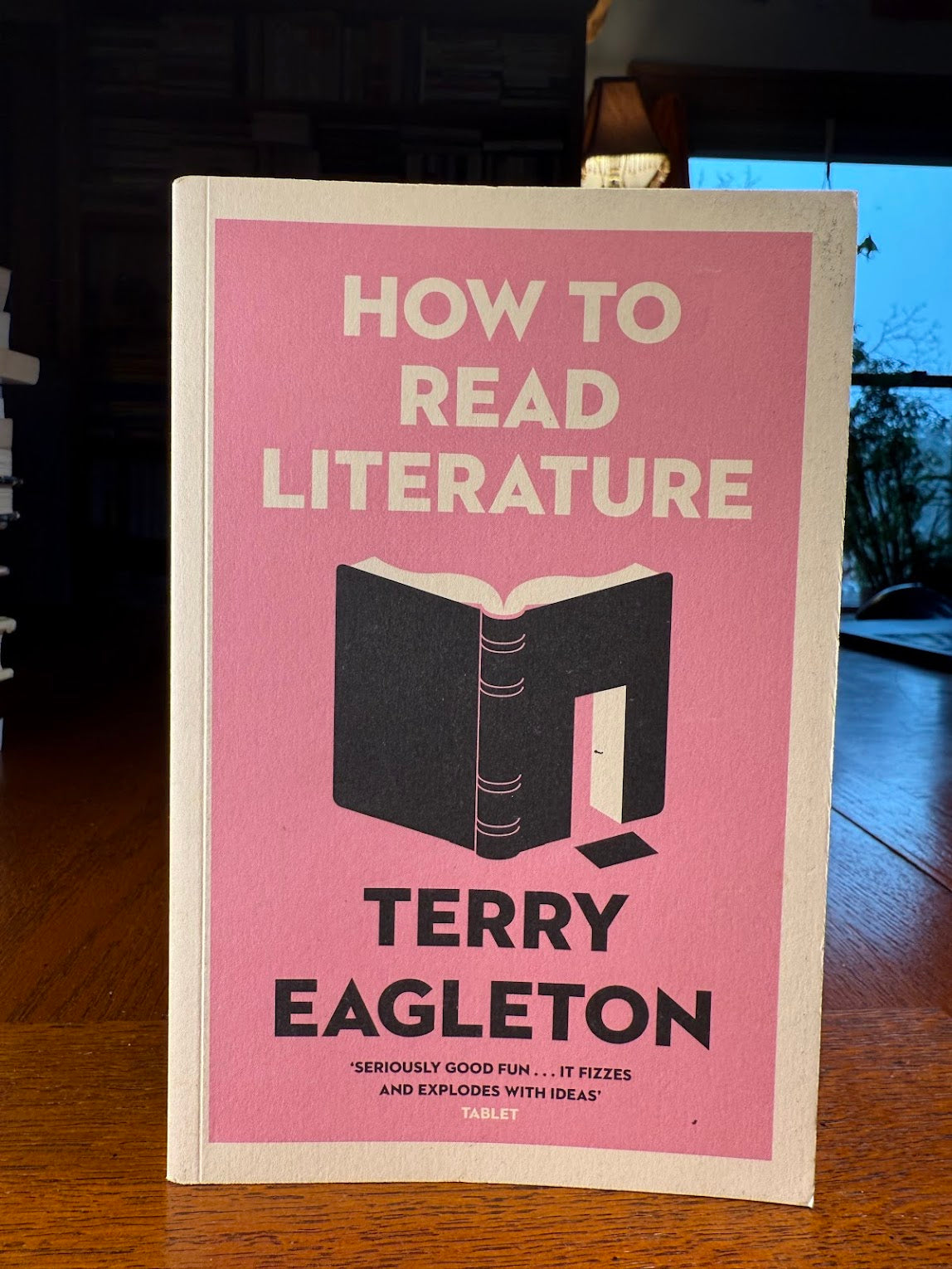 How to Read Literature by Terry Eagleton