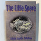 The Little Space by Alicia Suskin Ostriker