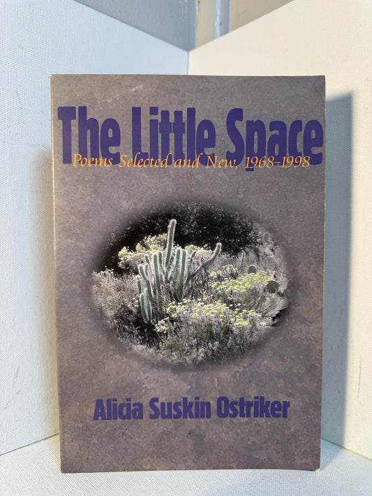The Little Space by Alicia Suskin Ostriker