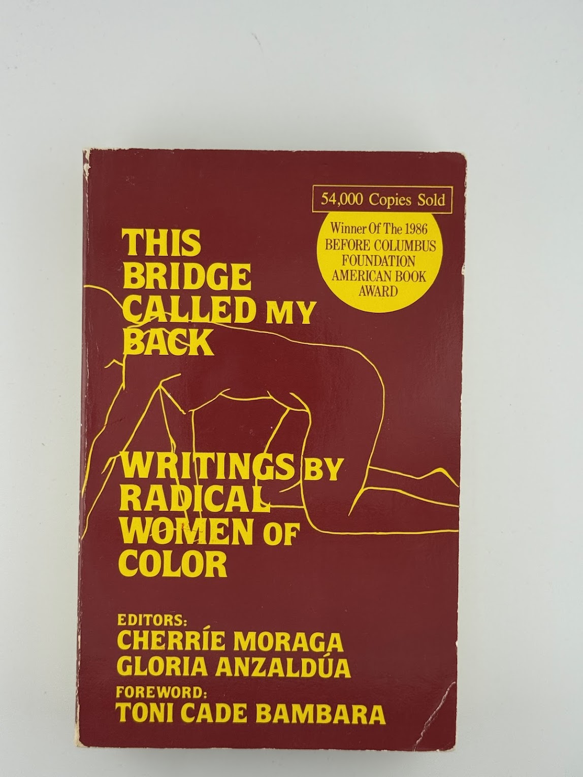 This Bridge Called My Back - Writings By Radical Women of Color