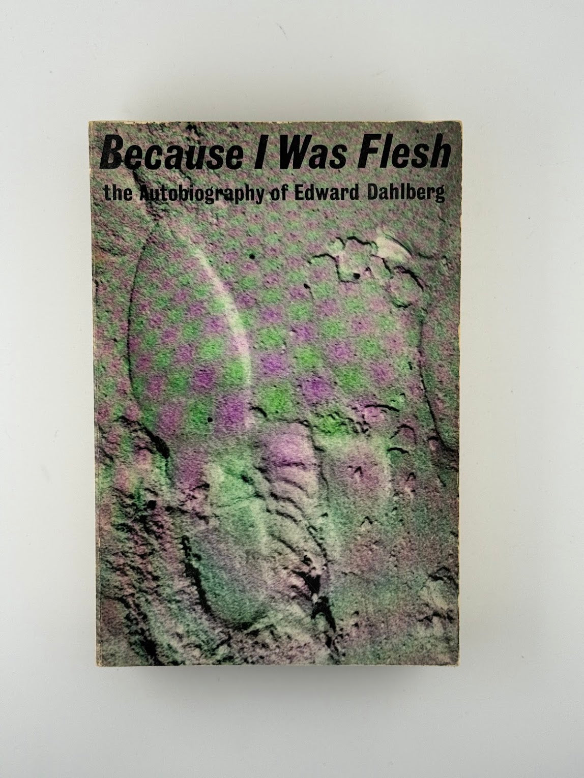 Because I Was Flesh by Edward Dahlberg