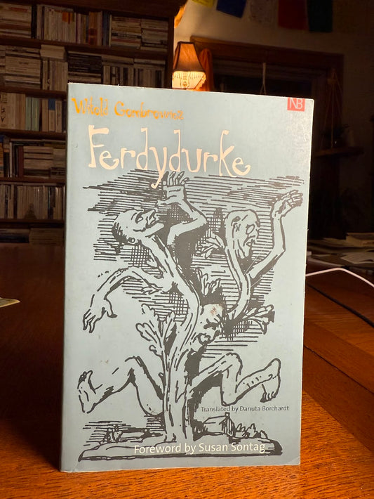 Ferdydurke by Witold Gombrowicz