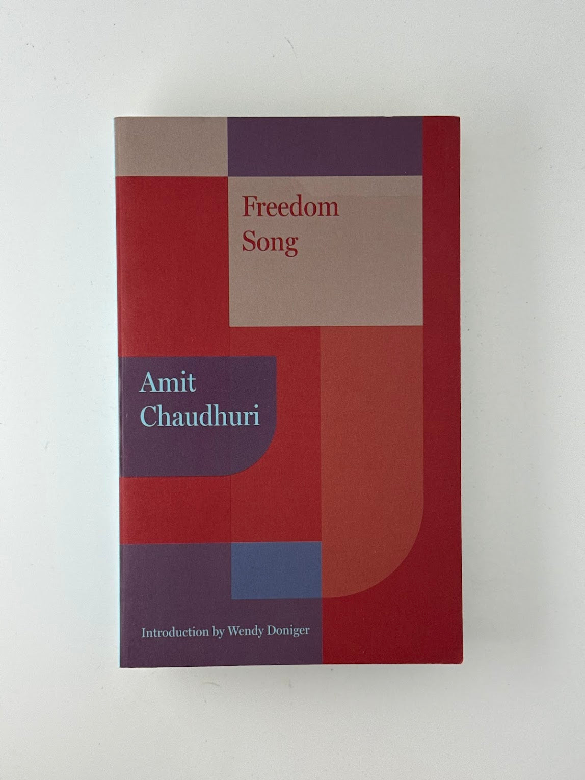 Freedom Song by Amit Chaudhuri