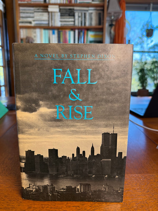 Fall & Rise by Stephen Dixon