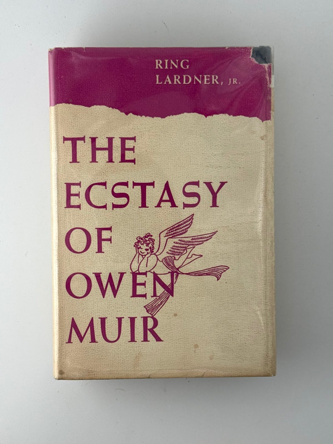 The Ecstasy of Owen Muir by Ring Lardner