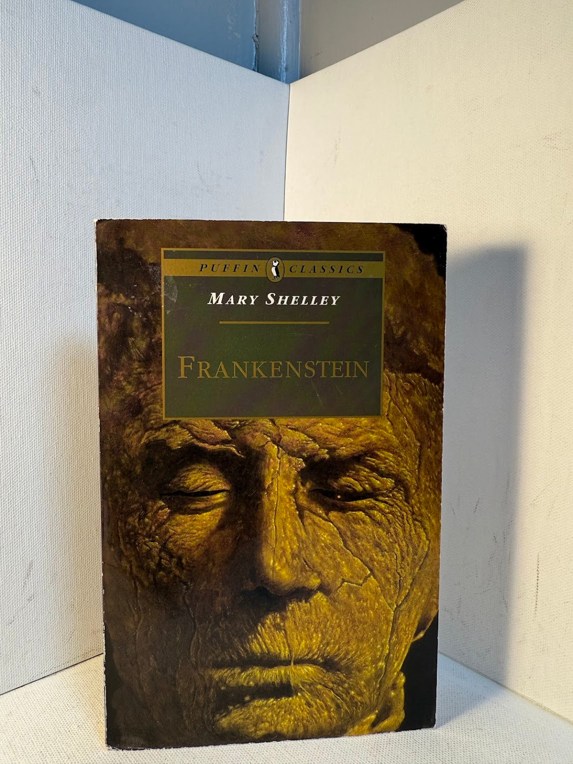 Frankenstein by Mary Shelley