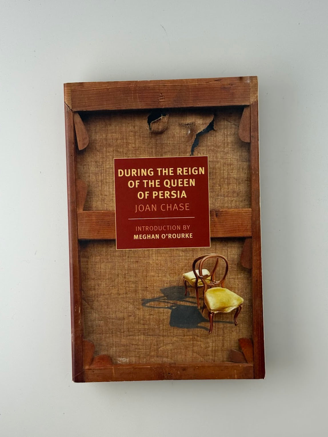 During the Reign of the Queen of Persia by Joan Chase