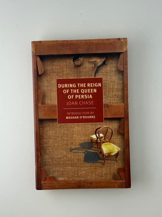 During the Reign of the Queen of Persia by Joan Chase