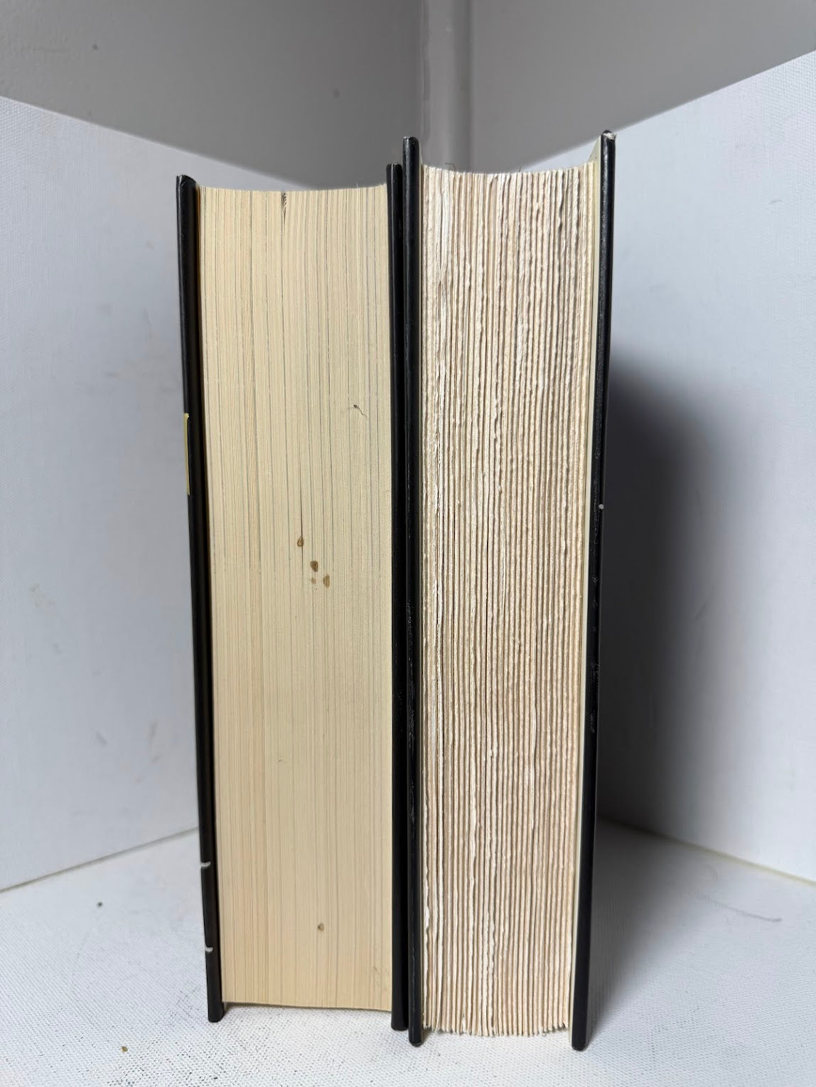 Anathem & Cryptonomicon by Neal Stephenson