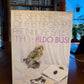 The Standard Life of a Temporary Pantyhose Salesman by Aldo Busi