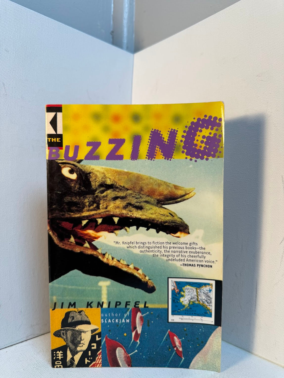 The Buzzing by Jim Knipfel