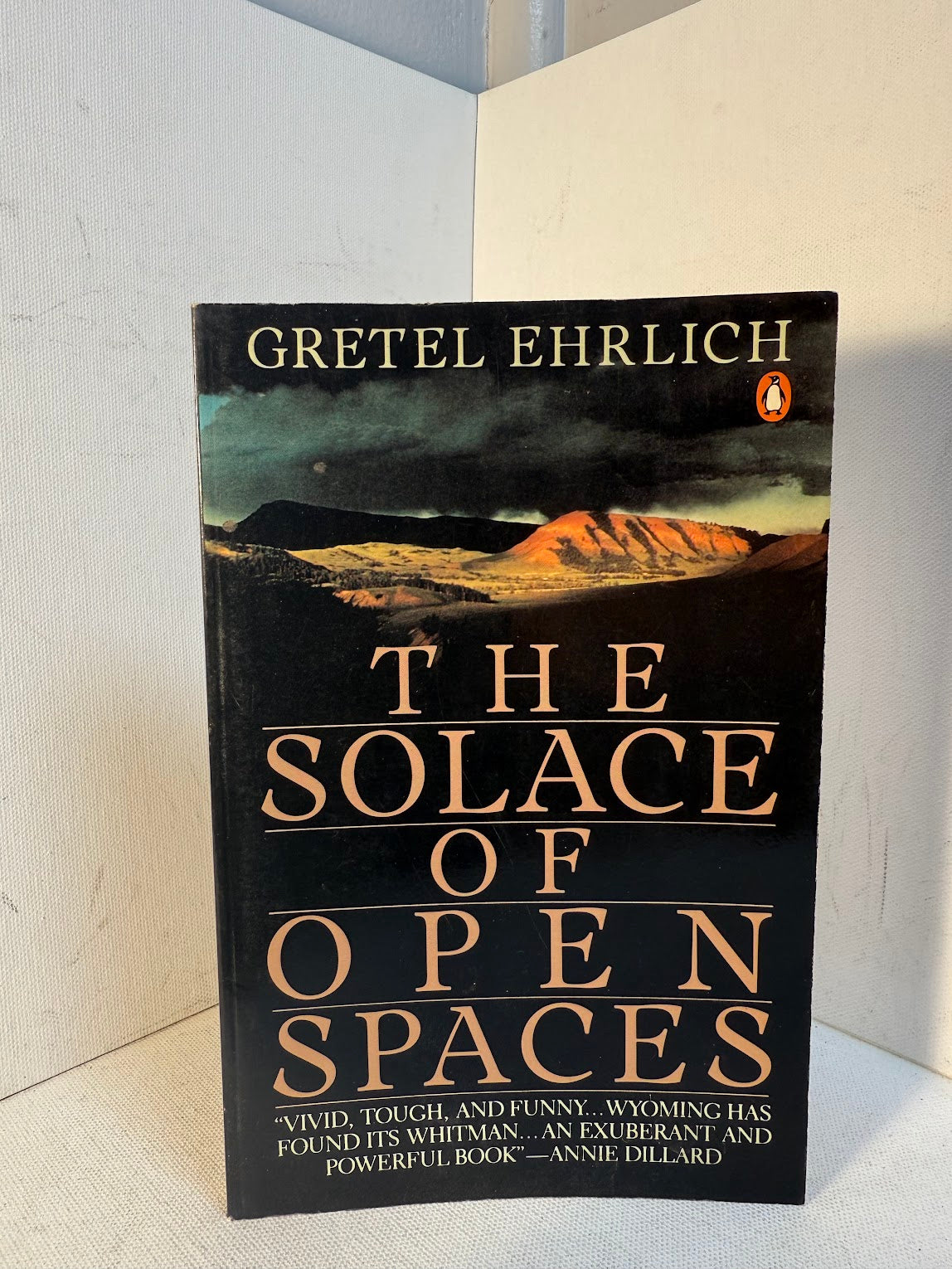 The Solace of Open Spaces by Gretel Ehrlich