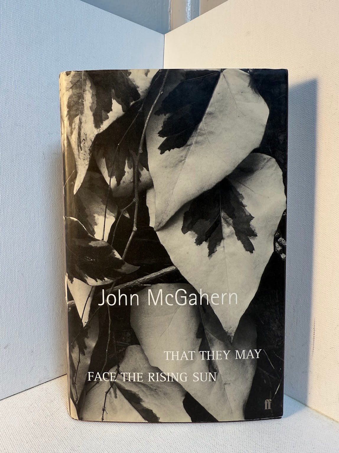 That They May Face The Rising Sun by John McGahern