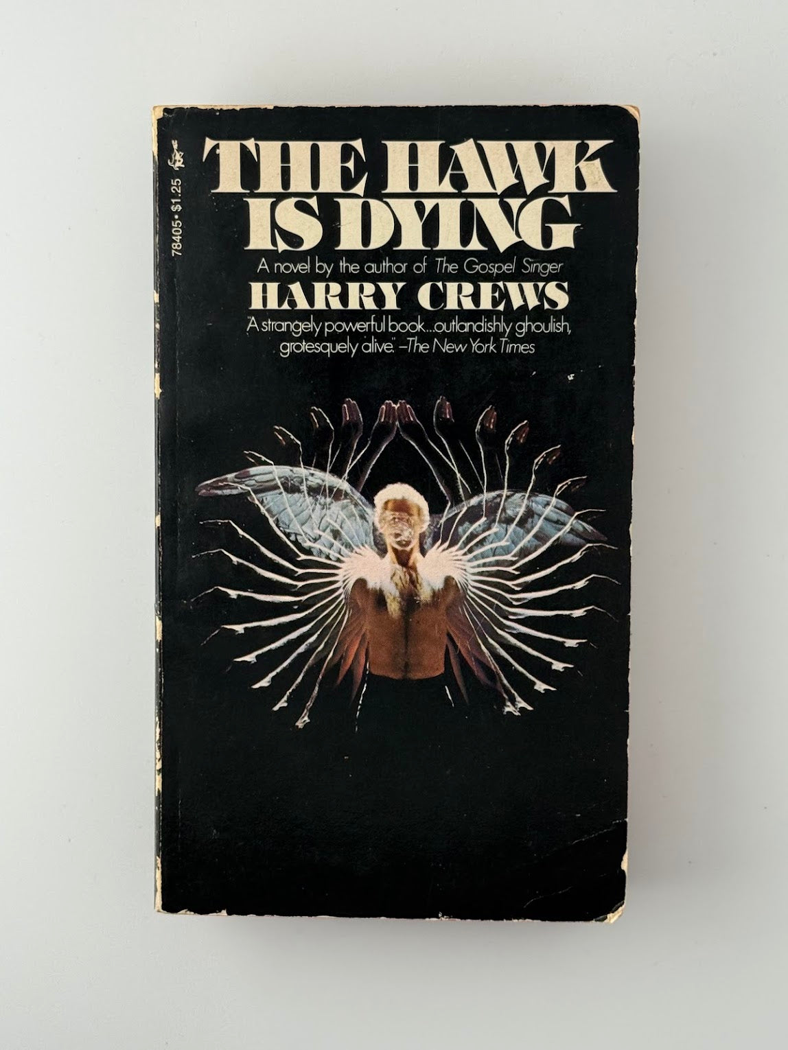The Hawk is Dying by Harry Crews