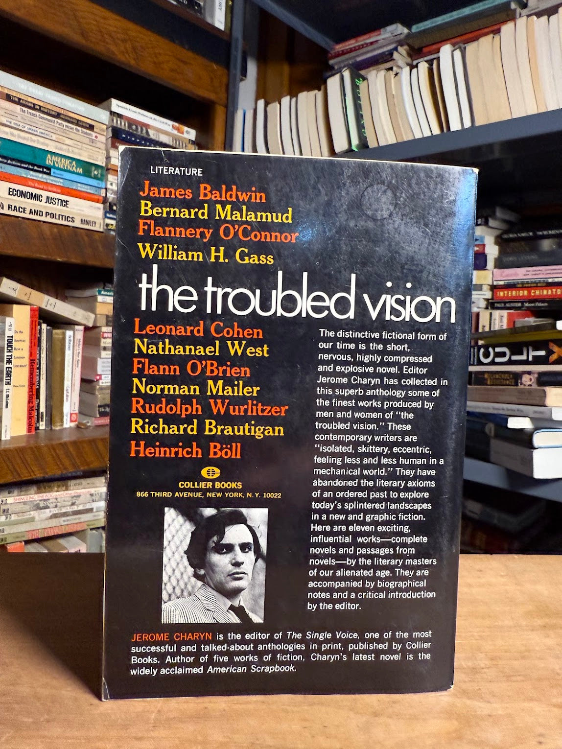 The Troubled Vision edited by Jerome Charyn