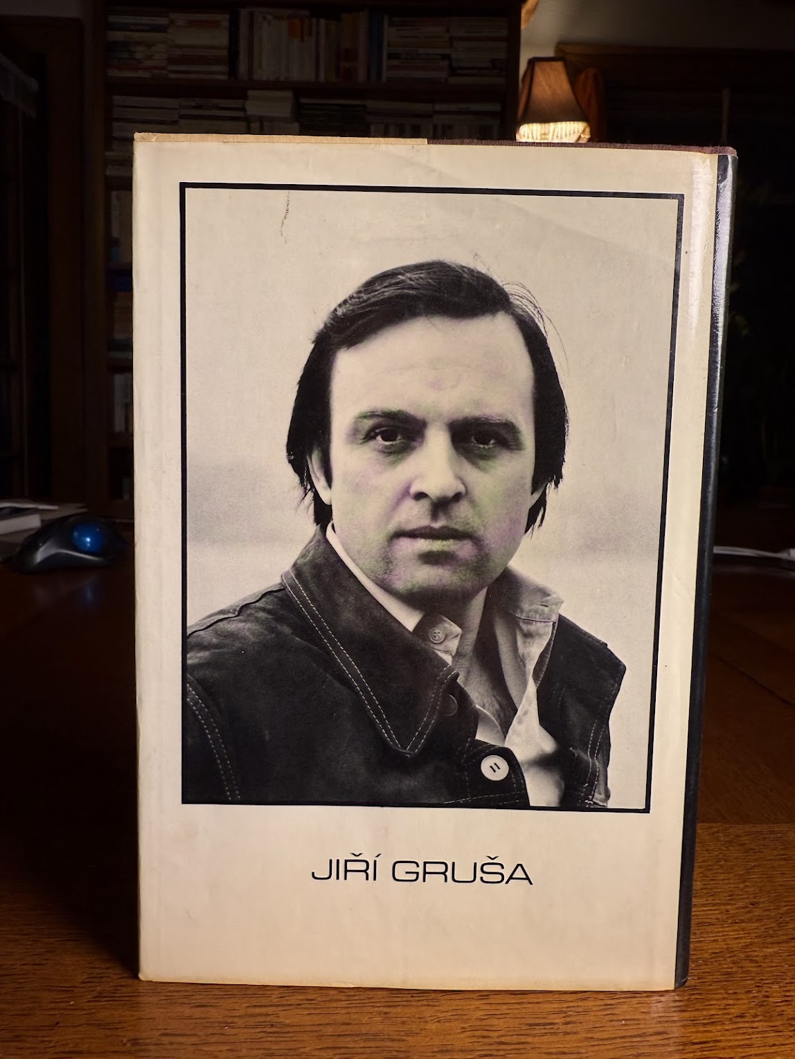 The Questionnaire by Jiri Grusa