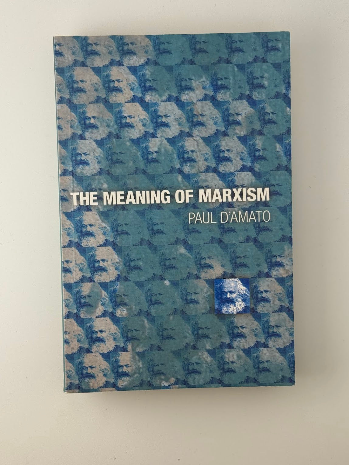 The Meaning of Marxism by Paul D'Amato