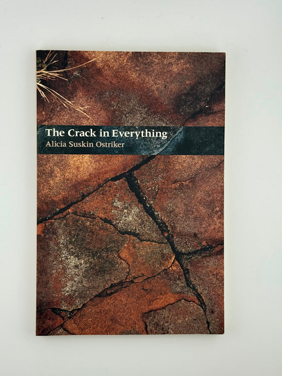 The Crack in Everything by Alicia Suskin Ostriker