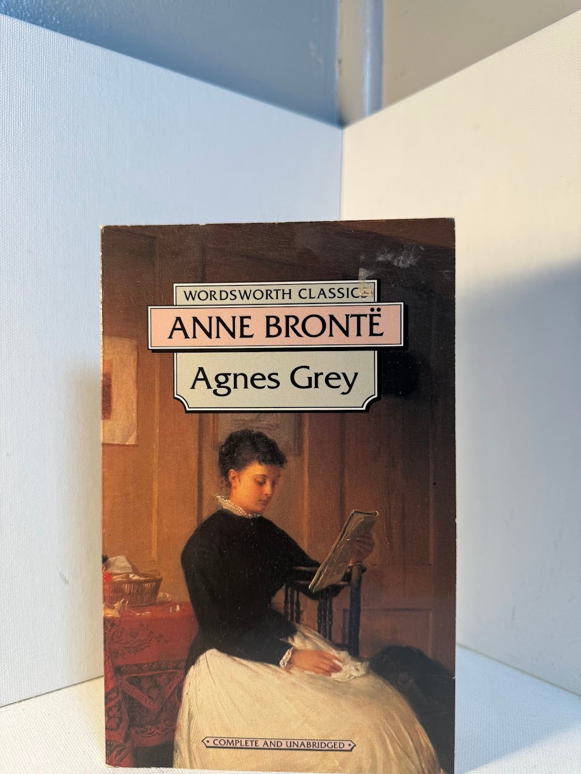 Agnes Grey by Anne Bronte