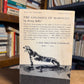 The Colossus of Maroussi by Henry Miller