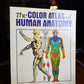 The Color Atlas of Human Anatomy
