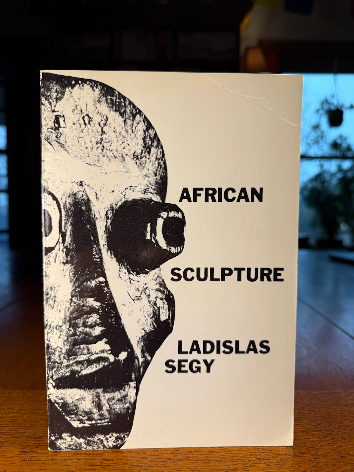 African Sculpture by Ladislas Segy